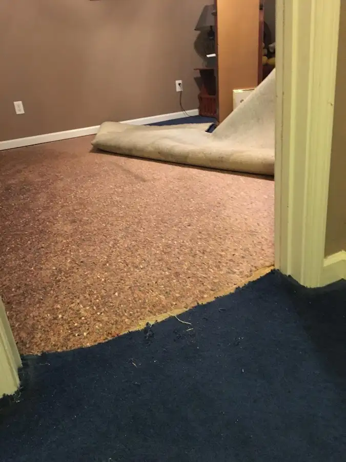 Carpet pad removal revealing water damage during Drying & Dehumidification in Lewisville